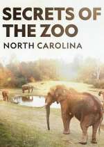 Watch Secrets of the Zoo: North Carolina Megashare
