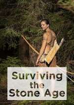 Watch Surviving the Stone Age Megashare