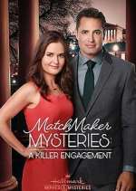 Watch The Matchmaker Mysteries Megashare