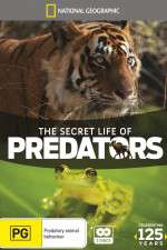 Watch Secret Life of Predators Megashare