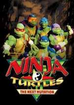 Watch Ninja Turtles: The Next Mutation Megashare