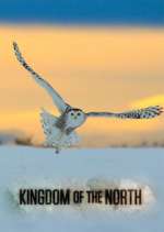 Watch Kingdom of the North Megashare