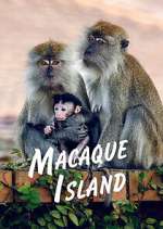 Watch Macaque Island Megashare
