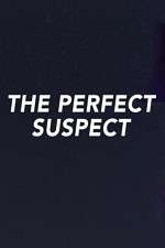the perfect suspect tv poster