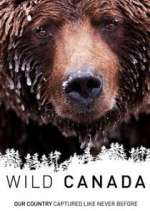 Watch Wild Canada Megashare