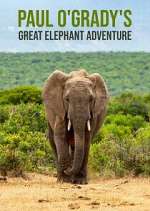 Watch Megashare Paul O'Grady's Great Elephant Adventure Online