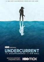 undercurrent: the disappearance of kim wall tv poster