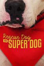 Watch Rescue Dog to Super Dog (US) Megashare