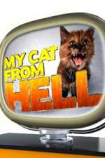 Watch My Cat from Hell Megashare