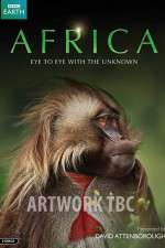 africa tv poster