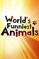 Watch The World\'s Funniest Animals Megashare