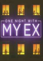 Watch One Night with My Ex Megashare