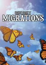 Watch Secret Migrations Megashare