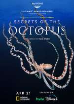 Watch Secrets of the Octopus Megashare