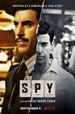Watch The Spy Megashare