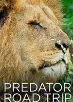 Watch Predator Road Trip Megashare