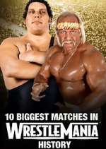 Watch The Best of WWE Megashare