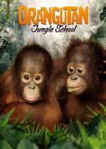 Watch Orangutan Jungle School Megashare