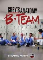 Watch Grey's Anatomy: B-Team Megashare