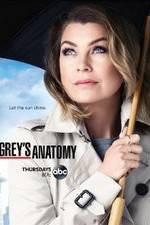 Watch Megashare Grey's Anatomy Online