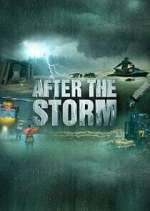 Watch After the Storm Megashare