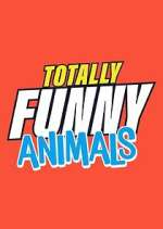 Watch Totally Funny Animals Megashare