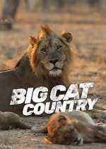 Watch Big Cat Country Megashare