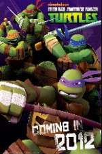 Watch Teenage Mutant Ninja Turtles Megashare
