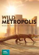Watch Wild Metropolis Megashare