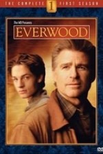 everwood tv poster