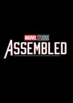 Marvel Studios: Assembled megashare
