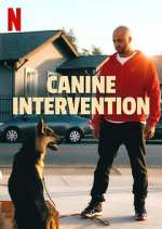 Watch Canine Intervention Megashare