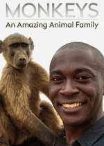Watch Monkeys: An Amazing Animal Family Megashare