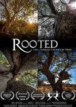 Watch Rooted Megashare