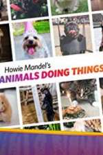 Watch Howie Mandel\'s Animals Doing Things Megashare