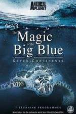 Watch The Magic of the Big Blue Megashare