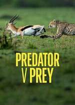 Watch Predator v Prey Megashare