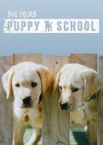 Watch Dog Squad: Puppy School Megashare