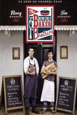 Watch The Fabulous Baker Brothers Megashare