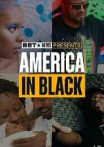 Watch America in Black Megashare