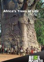 Watch Africa's Trees of Life Megashare