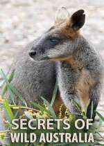 Watch Secrets of Wild Australia Megashare