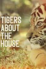 Watch Tigers About the House Megashare