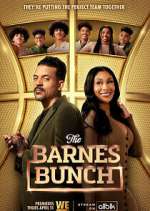Watch The Barnes Bunch Megashare