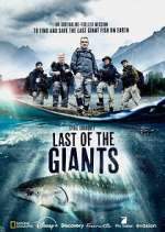 Watch Last of the Giants: Wild Fish Megashare