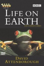 Watch Life on Earth Megashare