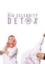 Watch The Big Celebrity Detox Megashare