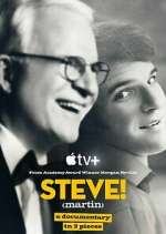 Watch STEVE! (martin) a documentary in 2 pieces Megashare