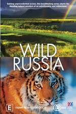 wild russia tv poster