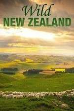 Watch Wild New Zealand Megashare